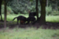 Beeldnr : 147 van 231
Naam : jj8g5004.jpg
Folder : fotos/jaren-201x/2019-2/denemarken/16-aug/
Formaat : 1200 x 800px
Thumb : 120 x 80px
Richting : Landschap
Bloknr : 3 van 5
Beeldnrs : 101 tm 150
Beelden in blok : 50