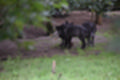 Beeldnr : 148 van 231
Naam : jj8g5007.jpg
Folder : fotos/jaren-201x/2019-2/denemarken/16-aug/
Formaat : 1200 x 800px
Thumb : 120 x 80px
Richting : Landschap
Bloknr : 3 van 5
Beeldnrs : 101 tm 150
Beelden in blok : 50