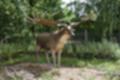 Beeldnr : 153 van 231
Naam : jj8g5025.jpg
Folder : fotos/jaren-201x/2019-2/denemarken/16-aug/
Formaat : 1200 x 800px
Thumb : 120 x 80px
Richting : Landschap
Bloknr : 4 van 5
Beeldnrs : 151 tm 200
Beelden in blok : 50