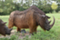 Beeldnr : 154 van 231
Naam : jj8g5027.jpg
Folder : fotos/jaren-201x/2019-2/denemarken/16-aug/
Formaat : 1200 x 800px
Thumb : 120 x 80px
Richting : Landschap
Bloknr : 4 van 5
Beeldnrs : 151 tm 200
Beelden in blok : 50