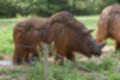Beeldnr : 155 van 231
Naam : jj8g5028.jpg
Folder : fotos/jaren-201x/2019-2/denemarken/16-aug/
Formaat : 1200 x 800px
Thumb : 120 x 80px
Richting : Landschap
Bloknr : 4 van 5
Beeldnrs : 151 tm 200
Beelden in blok : 50