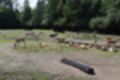 Beeldnr : 165 van 231
Naam : jj8g5043.jpg
Folder : fotos/jaren-201x/2019-2/denemarken/16-aug/
Formaat : 1200 x 800px
Thumb : 120 x 80px
Richting : Landschap
Bloknr : 4 van 5
Beeldnrs : 151 tm 200
Beelden in blok : 50