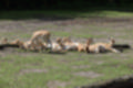 Beeldnr : 167 van 231
Naam : jj8g5047.jpg
Folder : fotos/jaren-201x/2019-2/denemarken/16-aug/
Formaat : 1200 x 800px
Thumb : 120 x 80px
Richting : Landschap
Bloknr : 4 van 5
Beeldnrs : 151 tm 200
Beelden in blok : 50