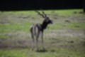 Beeldnr : 168 van 231
Naam : jj8g5049.jpg
Folder : fotos/jaren-201x/2019-2/denemarken/16-aug/
Formaat : 1200 x 800px
Thumb : 120 x 80px
Richting : Landschap
Bloknr : 4 van 5
Beeldnrs : 151 tm 200
Beelden in blok : 50