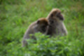 Beeldnr : 193 van 231
Naam : jj8g5096.jpg
Folder : fotos/jaren-201x/2019-2/denemarken/16-aug/
Formaat : 1200 x 800px
Thumb : 120 x 80px
Richting : Landschap
Bloknr : 4 van 5
Beeldnrs : 151 tm 200
Beelden in blok : 50