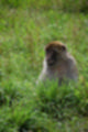 Beeldnr : 194 van 231
Naam : jj8g5098.jpg
Folder : fotos/jaren-201x/2019-2/denemarken/16-aug/
Formaat : 800 x 1200px
Thumb : 80 x 120px
Richting : Portret
Bloknr : 4 van 5
Beeldnrs : 151 tm 200
Beelden in blok : 50