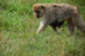 Beeldnr : 195 van 231
Naam : jj8g5100.jpg
Folder : fotos/jaren-201x/2019-2/denemarken/16-aug/
Formaat : 1200 x 800px
Thumb : 120 x 80px
Richting : Landschap
Bloknr : 4 van 5
Beeldnrs : 151 tm 200
Beelden in blok : 50