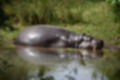 Beeldnr : 197 van 231
Naam : jj8g5108.jpg
Folder : fotos/jaren-201x/2019-2/denemarken/16-aug/
Formaat : 1200 x 800px
Thumb : 120 x 80px
Richting : Landschap
Bloknr : 4 van 5
Beeldnrs : 151 tm 200
Beelden in blok : 50