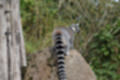 Beeldnr : 219 van 231
Naam : jj8g5147.jpg
Folder : fotos/jaren-201x/2019-2/denemarken/16-aug/
Formaat : 1200 x 800px
Thumb : 120 x 80px
Richting : Landschap
Bloknr : 5 van 5
Beeldnrs : 201 tm 231
Beelden in blok : 31