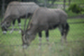 Beeldnr : 228 van 231
Naam : jj8g5174.jpg
Folder : fotos/jaren-201x/2019-2/denemarken/16-aug/
Formaat : 1200 x 800px
Thumb : 120 x 80px
Richting : Landschap
Bloknr : 5 van 5
Beeldnrs : 201 tm 231
Beelden in blok : 31