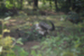 Beeldnr : 231 van 231
Naam : jj8g5187.jpg
Folder : fotos/jaren-201x/2019-2/denemarken/16-aug/
Formaat : 1200 x 800px
Thumb : 120 x 80px
Richting : Landschap
Bloknr : 5 van 5
Beeldnrs : 201 tm 231
Beelden in blok : 31