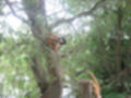 Beeldnr : 2 van 101
Naam : aj842397.jpg
Folder : fotos/jaren-201x/2019-2/denemarken/4-aug/
Formaat : 1200 x 900px
Thumb : 120 x 90px
Richting : Landschap
Bloknr : 1 van 3
Beeldnrs : 1 tm 50
Beelden in blok : 50