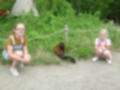 Beeldnr : 4 van 101
Naam : aj842399.jpg
Folder : fotos/jaren-201x/2019-2/denemarken/4-aug/
Formaat : 1200 x 900px
Thumb : 120 x 90px
Richting : Landschap
Bloknr : 1 van 3
Beeldnrs : 1 tm 50
Beelden in blok : 50