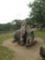Beeldnr : 8 van 101
Naam : aj842411.jpg
Folder : fotos/jaren-201x/2019-2/denemarken/4-aug/
Formaat : 900 x 1200px
Thumb : 90 x 120px
Richting : Portret
Bloknr : 1 van 3
Beeldnrs : 1 tm 50
Beelden in blok : 50