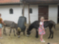 Beeldnr : 12 van 101
Naam : aj842417.jpg
Folder : fotos/jaren-201x/2019-2/denemarken/4-aug/
Formaat : 1200 x 900px
Thumb : 120 x 90px
Richting : Landschap
Bloknr : 1 van 3
Beeldnrs : 1 tm 50
Beelden in blok : 50