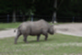 Beeldnr : 20 van 101
Naam : jj843545.jpg
Folder : fotos/jaren-201x/2019-2/denemarken/4-aug/
Formaat : 1200 x 800px
Thumb : 120 x 80px
Richting : Landschap
Bloknr : 1 van 3
Beeldnrs : 1 tm 50
Beelden in blok : 50