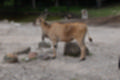 Beeldnr : 26 van 101
Naam : jj843564.jpg
Folder : fotos/jaren-201x/2019-2/denemarken/4-aug/
Formaat : 1200 x 800px
Thumb : 120 x 80px
Richting : Landschap
Bloknr : 1 van 3
Beeldnrs : 1 tm 50
Beelden in blok : 50
