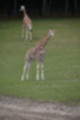 Beeldnr : 30 van 101
Naam : jj843577.jpg
Folder : fotos/jaren-201x/2019-2/denemarken/4-aug/
Formaat : 800 x 1200px
Thumb : 80 x 120px
Richting : Portret
Bloknr : 1 van 3
Beeldnrs : 1 tm 50
Beelden in blok : 50