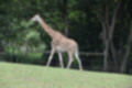 Beeldnr : 32 van 101
Naam : jj843584.jpg
Folder : fotos/jaren-201x/2019-2/denemarken/4-aug/
Formaat : 1200 x 800px
Thumb : 120 x 80px
Richting : Landschap
Bloknr : 1 van 3
Beeldnrs : 1 tm 50
Beelden in blok : 50