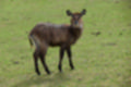 Beeldnr : 33 van 101
Naam : jj843588.jpg
Folder : fotos/jaren-201x/2019-2/denemarken/4-aug/
Formaat : 1200 x 800px
Thumb : 120 x 80px
Richting : Landschap
Bloknr : 1 van 3
Beeldnrs : 1 tm 50
Beelden in blok : 50