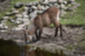 Beeldnr : 34 van 101
Naam : jj843593.jpg
Folder : fotos/jaren-201x/2019-2/denemarken/4-aug/
Formaat : 1200 x 800px
Thumb : 120 x 80px
Richting : Landschap
Bloknr : 1 van 3
Beeldnrs : 1 tm 50
Beelden in blok : 50