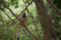 Beeldnr : 40 van 101
Naam : jj843613.jpg
Folder : fotos/jaren-201x/2019-2/denemarken/4-aug/
Formaat : 1200 x 800px
Thumb : 120 x 80px
Richting : Landschap
Bloknr : 1 van 3
Beeldnrs : 1 tm 50
Beelden in blok : 50