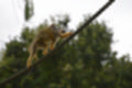 Beeldnr : 42 van 101
Naam : jj843620.jpg
Folder : fotos/jaren-201x/2019-2/denemarken/4-aug/
Formaat : 1200 x 800px
Thumb : 120 x 80px
Richting : Landschap
Bloknr : 1 van 3
Beeldnrs : 1 tm 50
Beelden in blok : 50