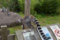 Beeldnr : 48 van 101
Naam : jj843638.jpg
Folder : fotos/jaren-201x/2019-2/denemarken/4-aug/
Formaat : 1200 x 800px
Thumb : 120 x 80px
Richting : Landschap
Bloknr : 1 van 3
Beeldnrs : 1 tm 50
Beelden in blok : 50