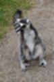 Beeldnr : 50 van 101
Naam : jj843641.jpg
Folder : fotos/jaren-201x/2019-2/denemarken/4-aug/
Formaat : 800 x 1200px
Thumb : 80 x 120px
Richting : Portret
Bloknr : 1 van 3
Beeldnrs : 1 tm 50
Beelden in blok : 50