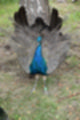 Beeldnr : 51 van 101
Naam : jj843643.jpg
Folder : fotos/jaren-201x/2019-2/denemarken/4-aug/
Formaat : 800 x 1200px
Thumb : 80 x 120px
Richting : Portret
Bloknr : 2 van 3
Beeldnrs : 51 tm 100
Beelden in blok : 50
