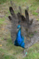 Beeldnr : 52 van 101
Naam : jj843645.jpg
Folder : fotos/jaren-201x/2019-2/denemarken/4-aug/
Formaat : 800 x 1200px
Thumb : 80 x 120px
Richting : Portret
Bloknr : 2 van 3
Beeldnrs : 51 tm 100
Beelden in blok : 50