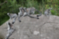 Beeldnr : 53 van 101
Naam : jj843647.jpg
Folder : fotos/jaren-201x/2019-2/denemarken/4-aug/
Formaat : 1200 x 800px
Thumb : 120 x 80px
Richting : Landschap
Bloknr : 2 van 3
Beeldnrs : 51 tm 100
Beelden in blok : 50