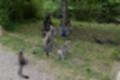 Beeldnr : 54 van 101
Naam : jj843651.jpg
Folder : fotos/jaren-201x/2019-2/denemarken/4-aug/
Formaat : 1200 x 800px
Thumb : 120 x 80px
Richting : Landschap
Bloknr : 2 van 3
Beeldnrs : 51 tm 100
Beelden in blok : 50