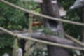 Beeldnr : 59 van 101
Naam : jj843668.jpg
Folder : fotos/jaren-201x/2019-2/denemarken/4-aug/
Formaat : 1200 x 800px
Thumb : 120 x 80px
Richting : Landschap
Bloknr : 2 van 3
Beeldnrs : 51 tm 100
Beelden in blok : 50