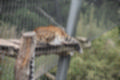 Beeldnr : 60 van 101
Naam : jj843669.jpg
Folder : fotos/jaren-201x/2019-2/denemarken/4-aug/
Formaat : 1200 x 800px
Thumb : 120 x 80px
Richting : Landschap
Bloknr : 2 van 3
Beeldnrs : 51 tm 100
Beelden in blok : 50