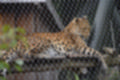 Beeldnr : 61 van 101
Naam : jj843673.jpg
Folder : fotos/jaren-201x/2019-2/denemarken/4-aug/
Formaat : 1200 x 800px
Thumb : 120 x 80px
Richting : Landschap
Bloknr : 2 van 3
Beeldnrs : 51 tm 100
Beelden in blok : 50