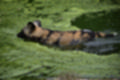 Beeldnr : 63 van 101
Naam : jj843689.jpg
Folder : fotos/jaren-201x/2019-2/denemarken/4-aug/
Formaat : 1200 x 800px
Thumb : 120 x 80px
Richting : Landschap
Bloknr : 2 van 3
Beeldnrs : 51 tm 100
Beelden in blok : 50