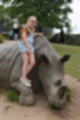 Beeldnr : 67 van 101
Naam : jj843711.jpg
Folder : fotos/jaren-201x/2019-2/denemarken/4-aug/
Formaat : 800 x 1200px
Thumb : 80 x 120px
Richting : Portret
Bloknr : 2 van 3
Beeldnrs : 51 tm 100
Beelden in blok : 50