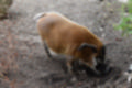 Beeldnr : 71 van 101
Naam : jj843731.jpg
Folder : fotos/jaren-201x/2019-2/denemarken/4-aug/
Formaat : 1200 x 800px
Thumb : 120 x 80px
Richting : Landschap
Bloknr : 2 van 3
Beeldnrs : 51 tm 100
Beelden in blok : 50