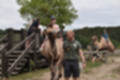 Beeldnr : 73 van 101
Naam : jj843736.jpg
Folder : fotos/jaren-201x/2019-2/denemarken/4-aug/
Formaat : 1200 x 800px
Thumb : 120 x 80px
Richting : Landschap
Bloknr : 2 van 3
Beeldnrs : 51 tm 100
Beelden in blok : 50