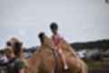 Beeldnr : 75 van 101
Naam : jj843743.jpg
Folder : fotos/jaren-201x/2019-2/denemarken/4-aug/
Formaat : 1200 x 800px
Thumb : 120 x 80px
Richting : Landschap
Bloknr : 2 van 3
Beeldnrs : 51 tm 100
Beelden in blok : 50
