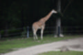 Beeldnr : 77 van 101
Naam : jj843759.jpg
Folder : fotos/jaren-201x/2019-2/denemarken/4-aug/
Formaat : 1200 x 800px
Thumb : 120 x 80px
Richting : Landschap
Bloknr : 2 van 3
Beeldnrs : 51 tm 100
Beelden in blok : 50