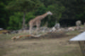 Beeldnr : 78 van 101
Naam : jj843764.jpg
Folder : fotos/jaren-201x/2019-2/denemarken/4-aug/
Formaat : 1200 x 800px
Thumb : 120 x 80px
Richting : Landschap
Bloknr : 2 van 3
Beeldnrs : 51 tm 100
Beelden in blok : 50