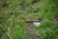 Beeldnr : 79 van 101
Naam : jj843768.jpg
Folder : fotos/jaren-201x/2019-2/denemarken/4-aug/
Formaat : 1200 x 800px
Thumb : 120 x 80px
Richting : Landschap
Bloknr : 2 van 3
Beeldnrs : 51 tm 100
Beelden in blok : 50