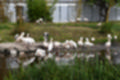 Beeldnr : 89 van 101
Naam : jj843819.jpg
Folder : fotos/jaren-201x/2019-2/denemarken/4-aug/
Formaat : 1200 x 800px
Thumb : 120 x 80px
Richting : Landschap
Bloknr : 2 van 3
Beeldnrs : 51 tm 100
Beelden in blok : 50