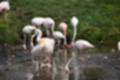 Beeldnr : 90 van 101
Naam : jj843826.jpg
Folder : fotos/jaren-201x/2019-2/denemarken/4-aug/
Formaat : 1200 x 800px
Thumb : 120 x 80px
Richting : Landschap
Bloknr : 2 van 3
Beeldnrs : 51 tm 100
Beelden in blok : 50