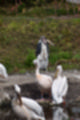 Beeldnr : 91 van 101
Naam : jj843829.jpg
Folder : fotos/jaren-201x/2019-2/denemarken/4-aug/
Formaat : 800 x 1200px
Thumb : 80 x 120px
Richting : Portret
Bloknr : 2 van 3
Beeldnrs : 51 tm 100
Beelden in blok : 50