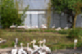 Beeldnr : 92 van 101
Naam : jj843833.jpg
Folder : fotos/jaren-201x/2019-2/denemarken/4-aug/
Formaat : 1200 x 800px
Thumb : 120 x 80px
Richting : Landschap
Bloknr : 2 van 3
Beeldnrs : 51 tm 100
Beelden in blok : 50