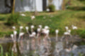 Beeldnr : 93 van 101
Naam : jj843835.jpg
Folder : fotos/jaren-201x/2019-2/denemarken/4-aug/
Formaat : 1200 x 800px
Thumb : 120 x 80px
Richting : Landschap
Bloknr : 2 van 3
Beeldnrs : 51 tm 100
Beelden in blok : 50