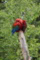 Beeldnr : 98 van 101
Naam : jj843849.jpg
Folder : fotos/jaren-201x/2019-2/denemarken/4-aug/
Formaat : 800 x 1200px
Thumb : 80 x 120px
Richting : Portret
Bloknr : 2 van 3
Beeldnrs : 51 tm 100
Beelden in blok : 50